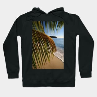 Fronds Hoodie